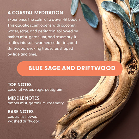 The Art of Luxury Scenting: Discovering Blue Sage & Driftwood
