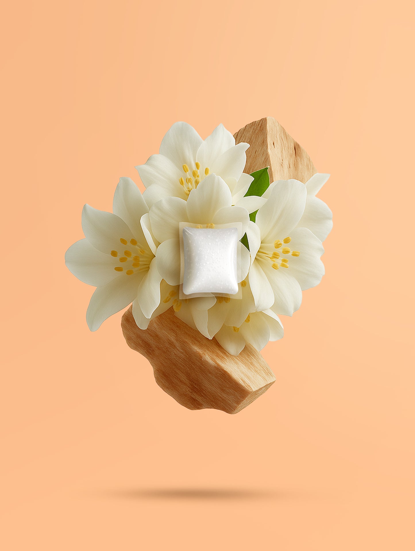 Fragrance Explorer Collection