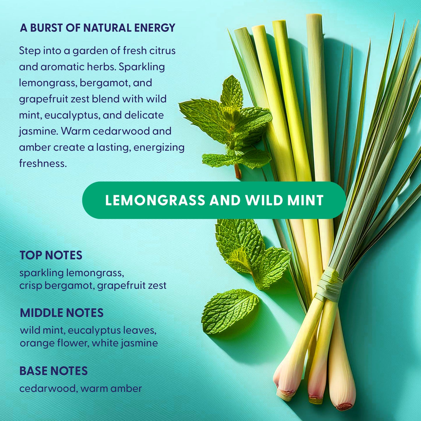 Dishwasher Detergent Pods - Lemongrass and Wild Mint - 60 Count