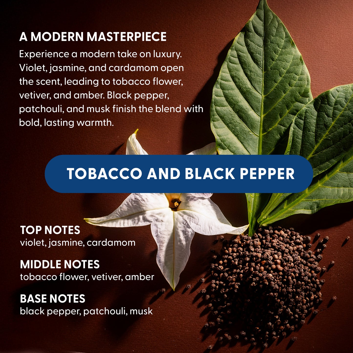Laundry Pods | Tobacco and Black Pepper - Bold Luxurious Scent | Eco-Friendly - 60 Count
