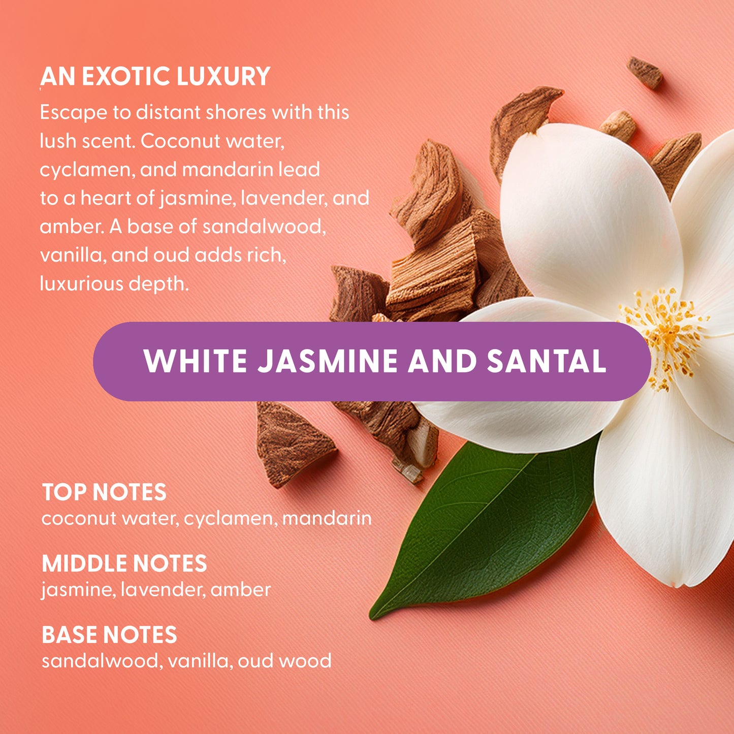 Fragrance Explorer Collection